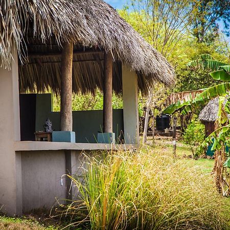Coco Loco Eco-Resort Gemastepe Екстериор снимка